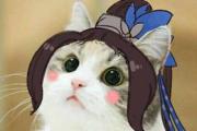 魔力宝贝私服跨服PVP战斗策略解析