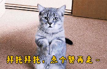 魔力宝贝私服的任务链设计 如何提高游戏的连贯性